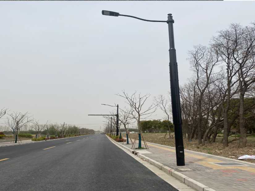 邹平市上海综合杆 太阳能路灯工程